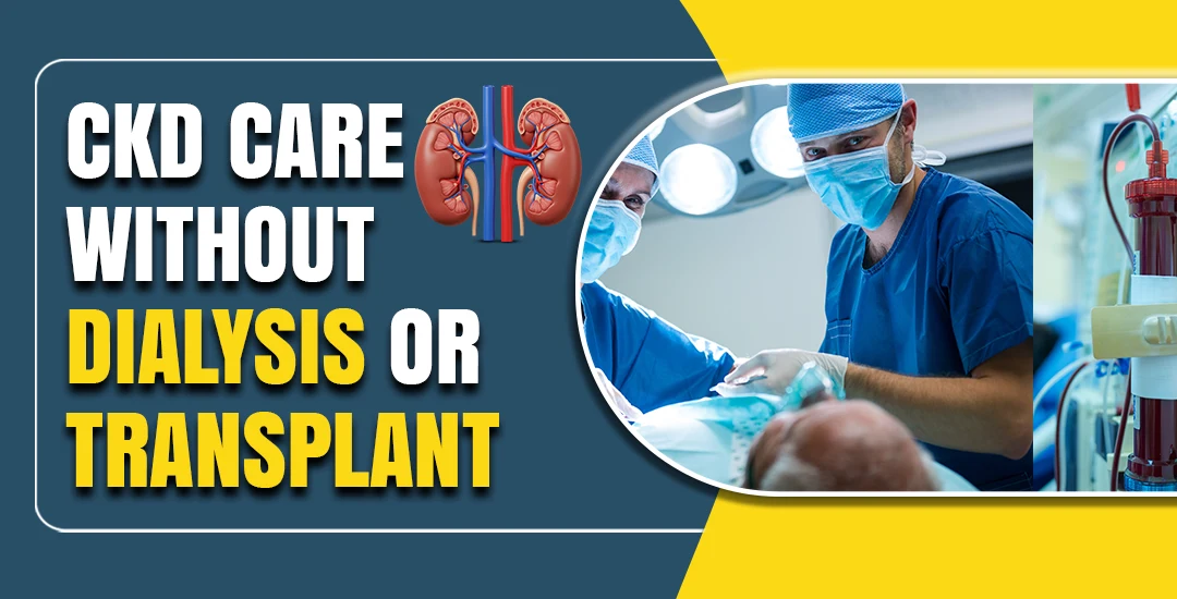 No Dialysis and No Transplant: Ayurvedic Medicine for CKD